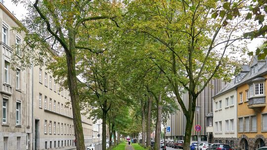 Südallee Koblenz