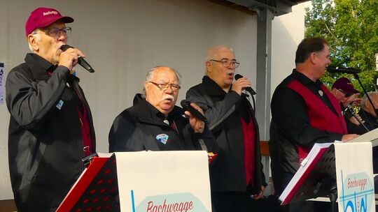 die-idar-obersteiner-bachwagge