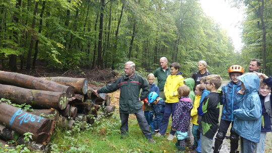 waldschule-fur-junge-mountainbiker