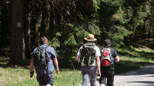 Entwicklungen beim Wandertourismus in Thüringen