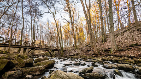 Foto für F - holzbachschlucht-seck-2