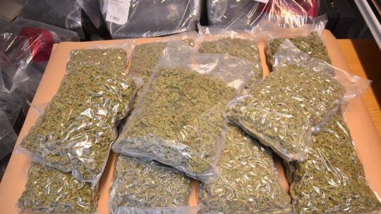 Beschlagnahmtes Marihuana