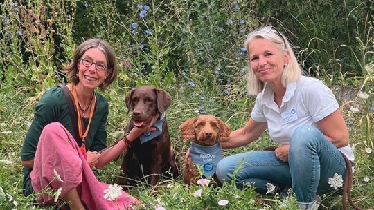 bild-1_tiergestutzte-therapie-mit-hund