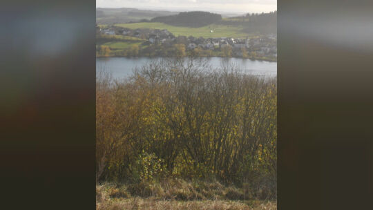 carstens-schalkenmehren