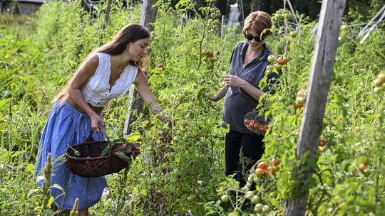 Solidarische Landwirtschaft in Potsdam
