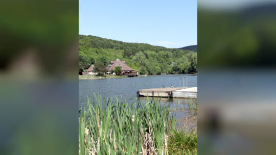 waldseerieden