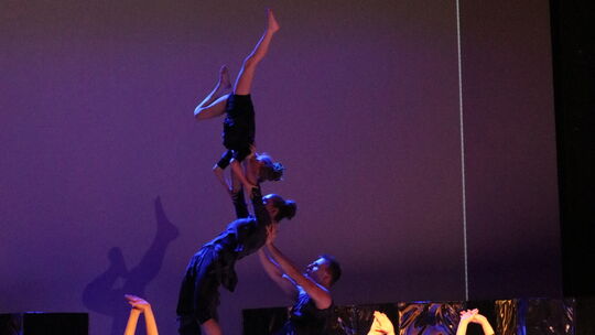 voltis-1-herfurth - 1