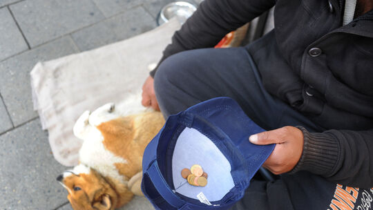 Obdachlose und Hunde