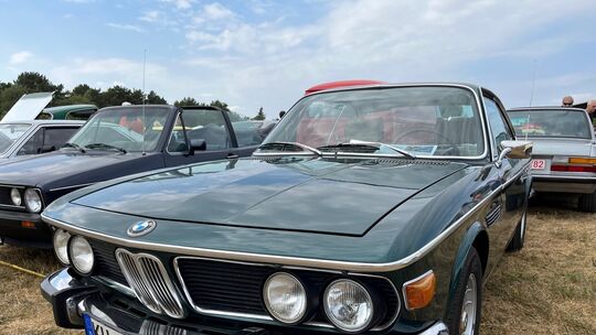 cow9-bmw