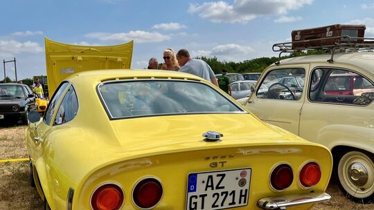 cow6-gt