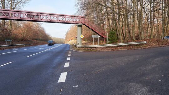 Verkehrssicherungsmassnahmen im Koblenzer Stadtwald