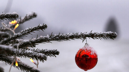 Weihnachtsbaum im Schnee