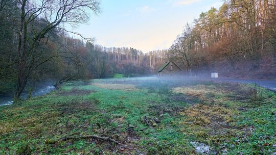 Kennelwies Grenzau
