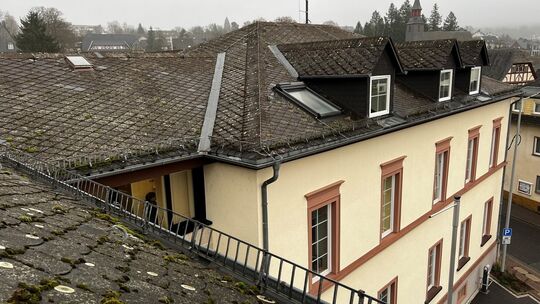 dach1