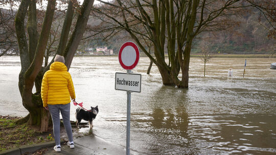 Hochwasser am Rhein