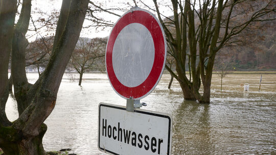 Hochwasser am Rhein