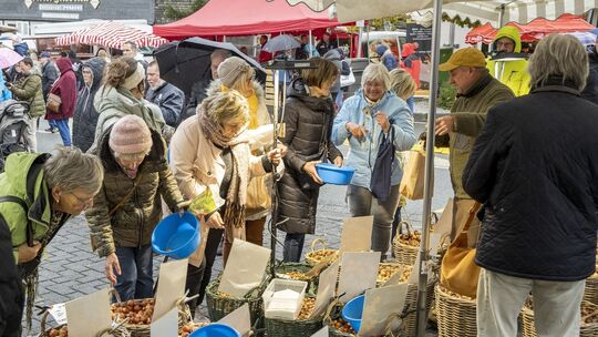 C-Röder-Moldenhauer