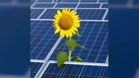 Google investiert Millionen in brandenburgischen Solarpark