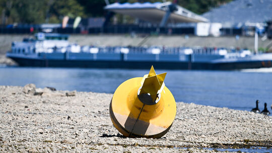 Niedrigwasser im Rhein