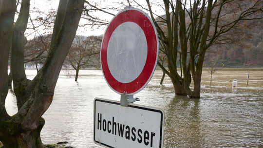 Hochwasser am Rhein