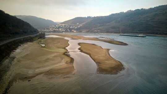 Niedrigwasser am Rhein
