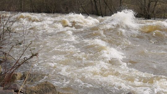 2024_01_05-hochwasser_naboba_michaelgreber_8871