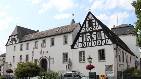 Burg Linz