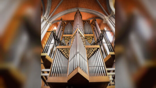 _dsc2970-bearbeitet-2-bearbeitet