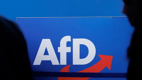 Parteilogo der AfD