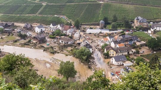 Fast alle Ahr-Winzer machen nach der Flutkatastrophe weiter