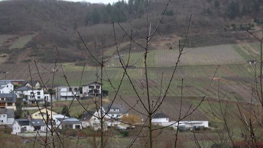baugebiet-zell-bullay