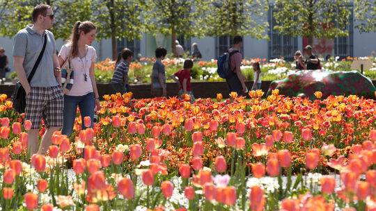 Bundesgartenschau 2011 in Koblenz