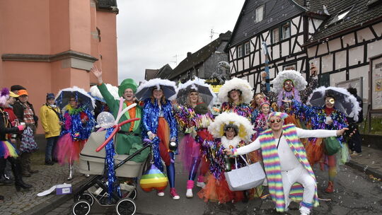Rheinbreitbach. Die Sporteckhexen lassen es farbenfroh und mit reichlich Glitzer angehen. Umzug Rheinbreitbach 2