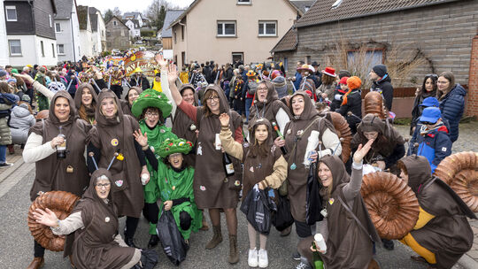 Karnevalsumzug in Hachenburg-Altstadt