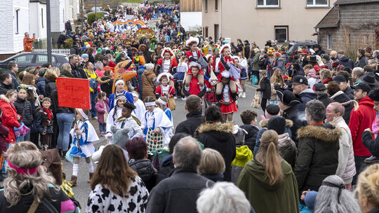 Karnevalsumzug in Hachenburg-Altstadt