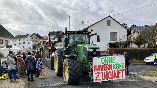 Rosenmontagsumzug in Urmersbach