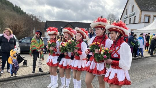 Rosenmontagsumzug in Urmersbach