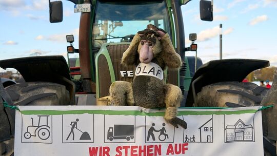 Demonstrationen von Landwirten und Reitern für eine faire Agrarpolitik