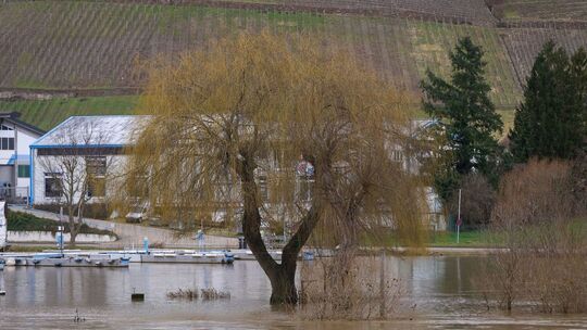 Hochwasser - Mosel
