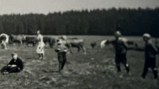 viehweide-ailertchen-viehaustrieb-1-mai-1940 - 1