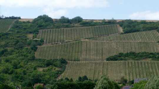 meis-gr-raumb-stellungnahme-kx
