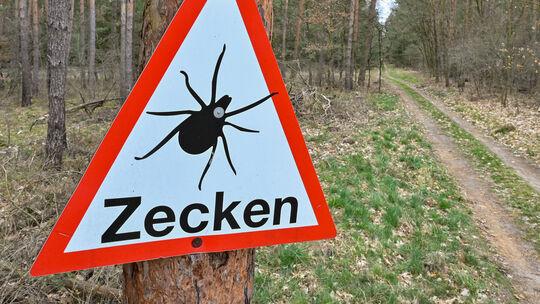 Warnschild Zecken