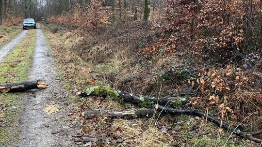 foto-astabbruch