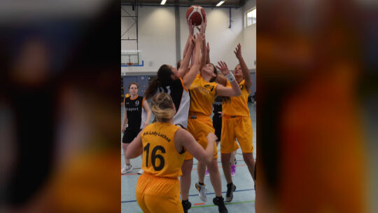 Lady Luchse - Heidesheim