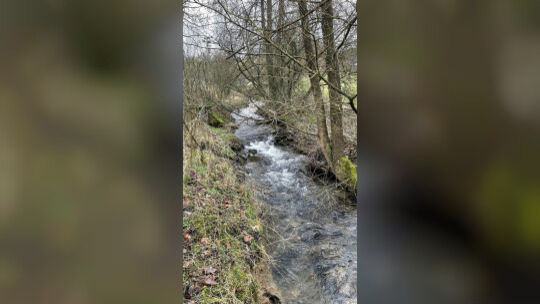 bachpaten-und-naturlehrpfad-04 - 1