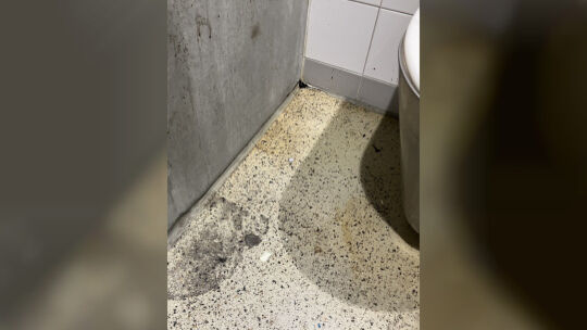 Toilettentest im Kreis Neuwied