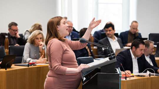 Sitzung Landtag Rheinland-Pfalz