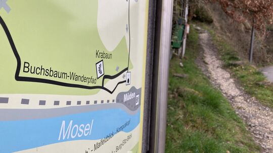 karden_buchsbaumwanderweg_symbol_0324