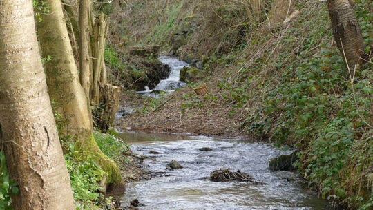 foto-tarrach-bachemer-bach-2