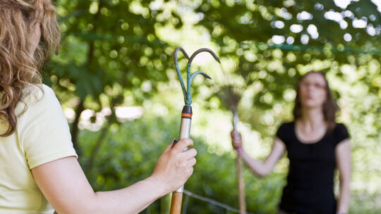 Terrassenparty und Froschquaken: Was Nachbarn im Garten dulden müssen